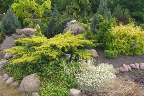 a garden with green plants and rocks and bushes at Dom Wczasowy Pięciu Pomostów in Czaplinek