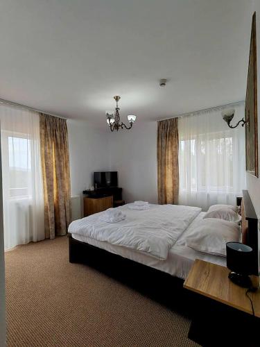 a bedroom with a large white bed with curtains at Pensiunea BriAdda in Poiana Mărului