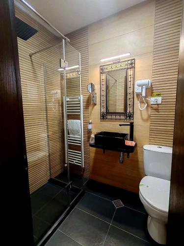 a bathroom with a toilet and a glass shower at Pensiunea BriAdda in Poiana Mărului