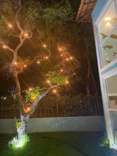Taman di luar Casa de praia deslumbrante em Massarandupió