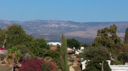 a view of a town with trees and a mountain at Greek Relaxation in Ma‘yan Barukh