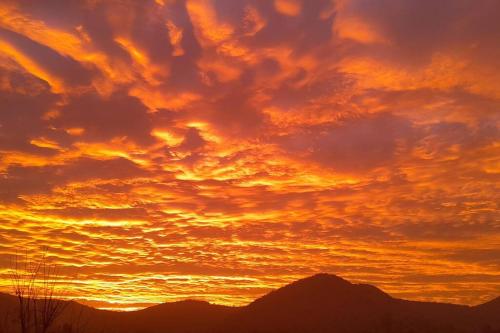 Linda Tiny House con desayuno