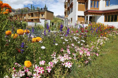 a field of flowers in front of a house at Ladakh Himalayan Retreat in Leh