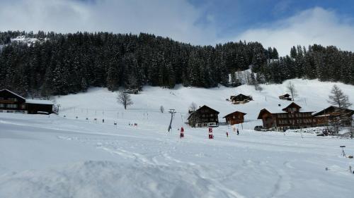 Foto dalla galleria di Hotel Crea ad Adelboden