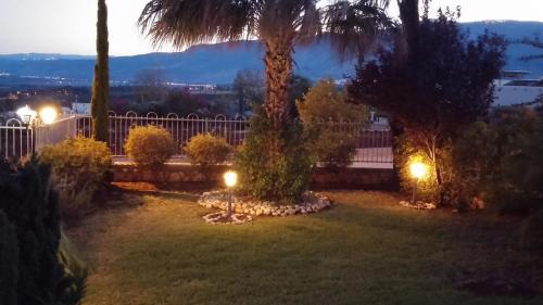 a yard with a palm tree and lights at Greek Relaxation in Ma‘yan Barukh