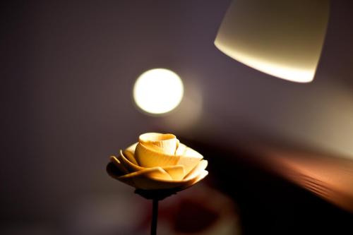 a yellow felt flower in a room with a light at Abete Rosso in Rabbi