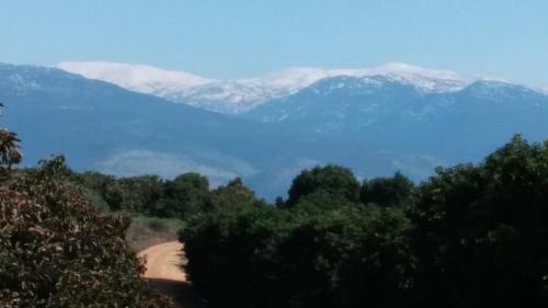 a dirt road with snow capped mountains in the background at Greek Relaxation in Ma‘yan Barukh