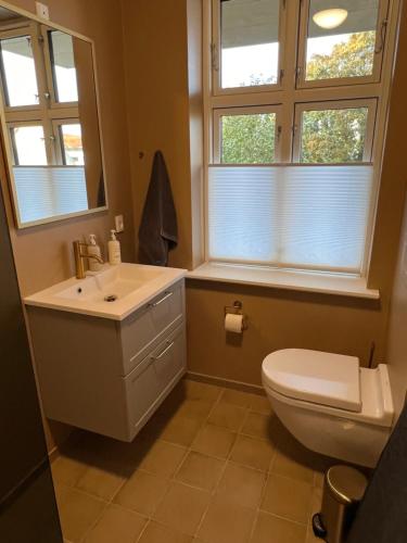a bathroom with a sink and a toilet and two windows at Byhuset - Hems 60 in Vejle