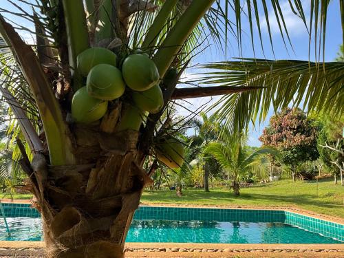 Piscina a Rai Phuchat o a prop