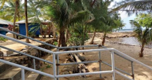 a view of a beach with a palm tree at Dove Escapes - One bdrm raised Cabana in Riversdale in Riversdale