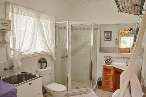 a bathroom with a shower and a toilet and a sink at Milford Country Cottages in Milford