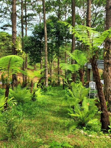 Taman di luar Casa Vanilla Mang Den