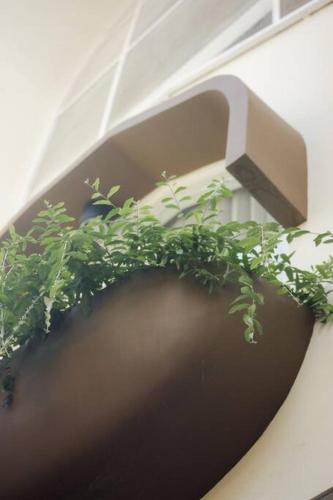 a plant in a pot on a wall at Bylina House in Batu