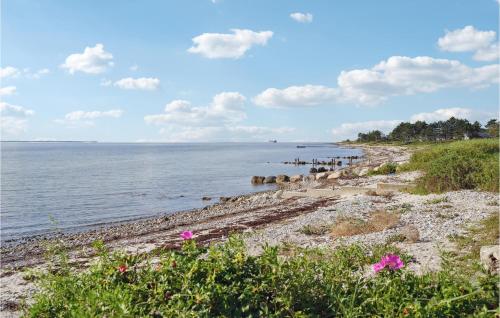a beach with pink flowers next to the water at Awesome Home In Martofte With Wifi in Martofte
