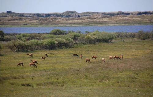 a herd of animals grazing in a field at Holiday Home Tane Hedevej Blåvand X in Blåvand