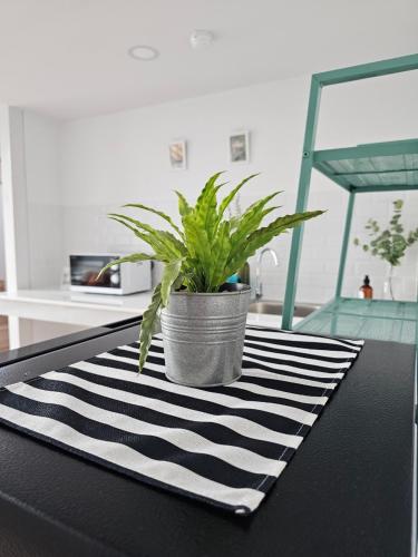 a potted plant sitting on top of a table at Midtown Duplex Ratchayothin in Bangkok