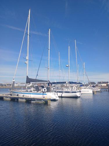 a group of boats docked at a dock in the water at Seaview in Stornoway