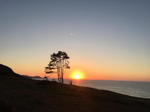 a sunset on the beach with a tree at 5 Etoiles hébergement insolite de luxe in Pléneuf-Val-André