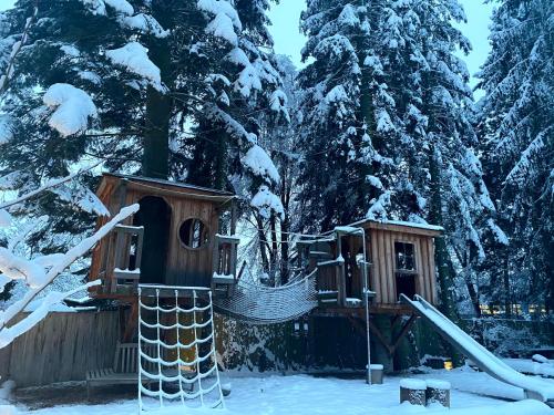Hotel Knorz durante el invierno