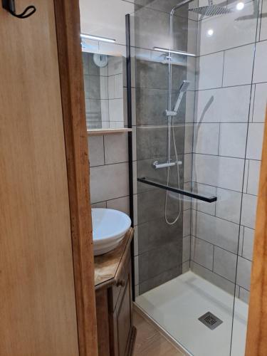 une salle de bain avec douche et lavabo dans l'établissement Appartement équipé centre Carroz et garage, à Arâches-la-Frasse