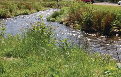 a river with grass and weeds next to a field at Holiday Home Ejstrupholm With Hot Tub Xiv in Ejstrup