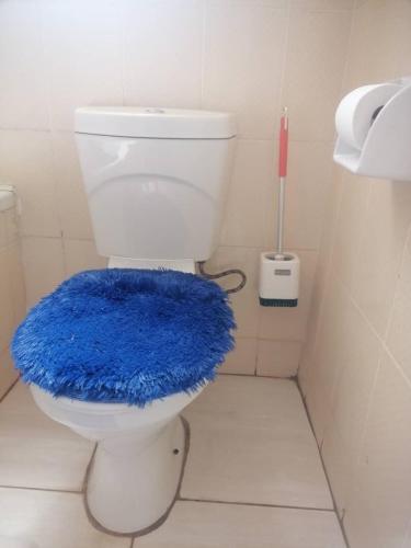 a bathroom with a toilet with a blue rug on it at Trojuan Inn Phakalane Surbab, Gaborone in Kgaphamadi