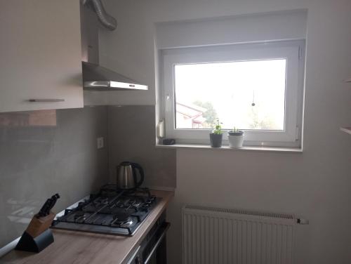 a kitchen with a stove and a window at Deniro Apartment in Požega