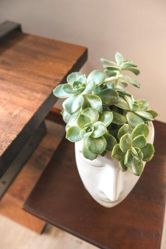 a white vase with a plant on a table at Hermanus Reefs in Hermanus