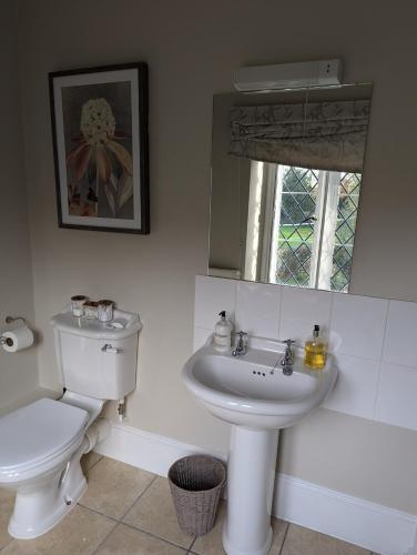 a bathroom with a sink and a toilet and a mirror at The Duke Hotel in Hilmarton