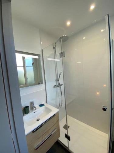une salle de bain blanche avec une douche et un lavabo dans l'établissement Auberge Bayo, à Bayonne