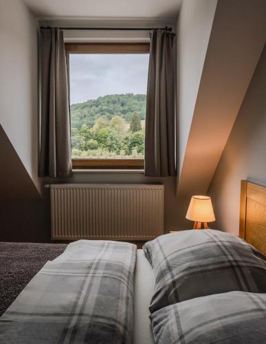 a bedroom with two beds and a window at Bacówka Polany in Polany