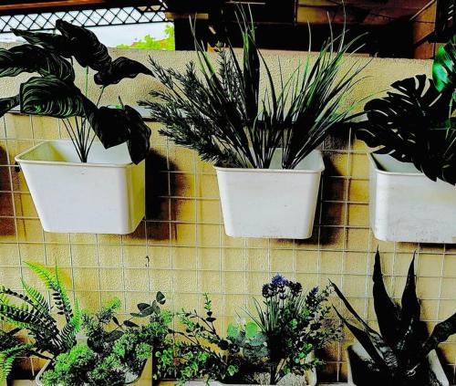 four potted plants are hanging on a wall at D23 Homestay Bandar Baru Bangi, Selangor in Bandar Baru Bangi