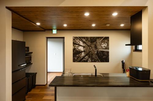 a kitchen with a sink and a painting on the wall at GOAT BASE 仲間と楽しく過ごせる貸切宿 stay in Nagano