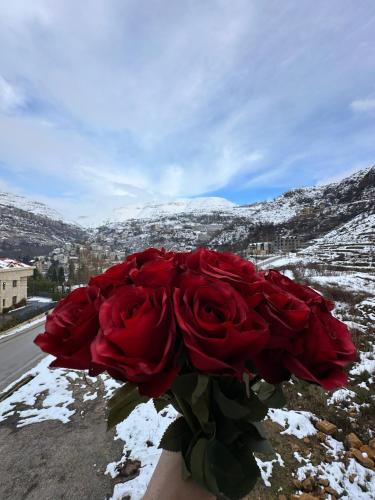 a bouquet of red roses sitting on the side of a road at Rokwood faraya in Ash Sha‘rah
