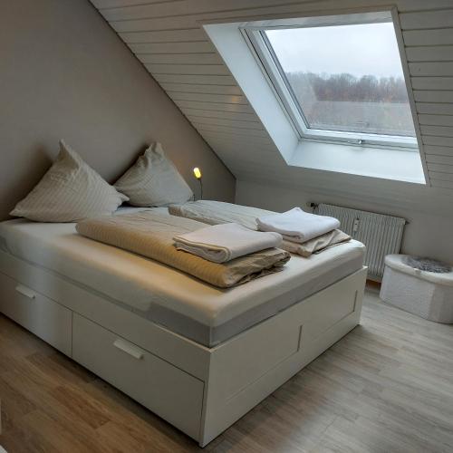 a bedroom with a bed with a skylight at Ferienwohnung Lueg Ins Wiesental in Steinen