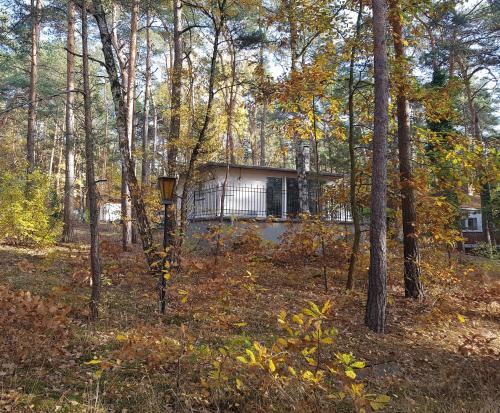 a house in the middle of a forest at HausMeise in Heidesee