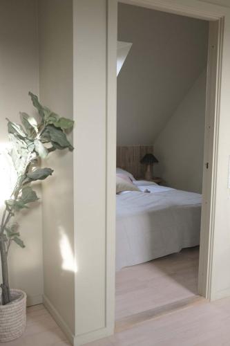 a bedroom with a bed and a potted plant at Lynæs Surfcenter in Hundested
