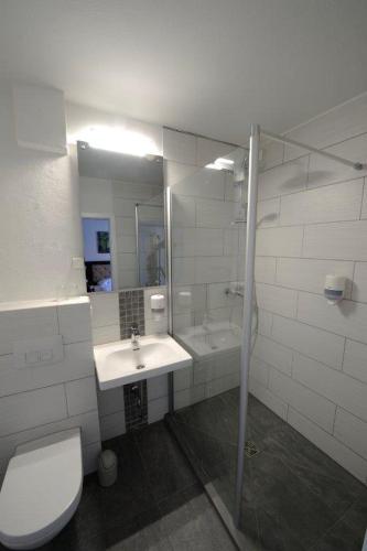 a bathroom with a toilet and a sink and a shower at Hotel zur Post in Steimbke