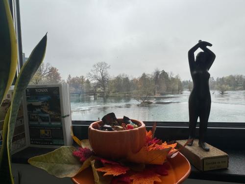 Foto dalla galleria di Konak na Uni a Bihać