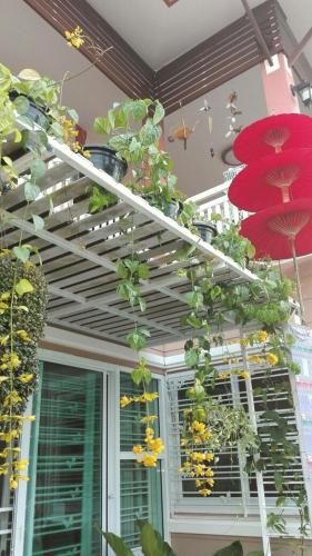 a bunch of plants are hanging from a ladder at Lampang Lanna Home in Lampang