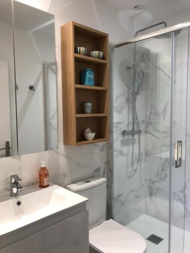 une salle de bain avec une douche, des toilettes et un lavabo dans l'établissement Le petit pin, à Capbreton