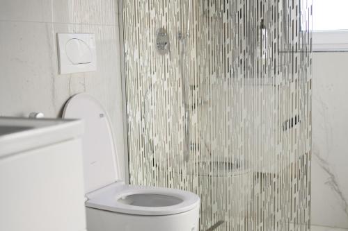 a bathroom with a toilet and a shower at Adore Home in Tirana