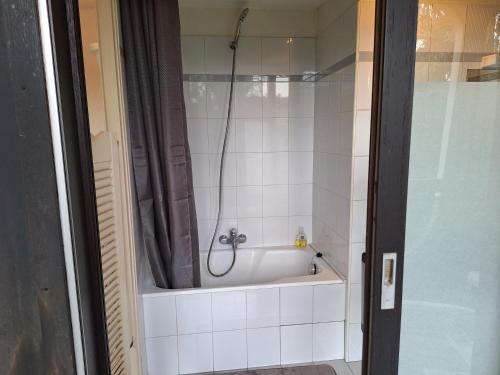 une salle de bain avec baignoire et douche dans l'établissement Charmant studio au calme dans le parc, à Thonon-les-Bains