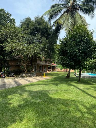 a house with a palm tree in front of a yard at Theeram Riverside Holiday Home in Māla