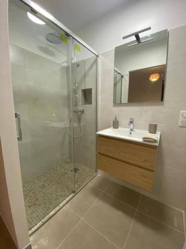 une salle de bain avec douche et lavabo dans l'établissement Rez de villa Favone, à Conca