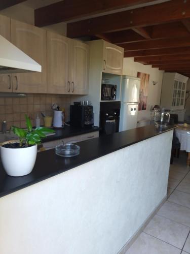 Il comprend une cuisine équipée d'un comptoir noir et d'un réfrigérateur. dans l'établissement Maison prés d'Agen, à Bon-Encontre