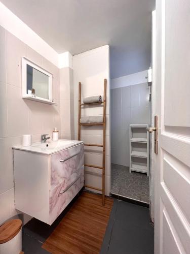 un baño con lavabo y espejo en Studio Saint Denis, en Saint-Denis