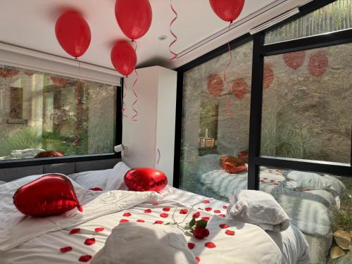 a bedroom with a bed with red balloons on the ceiling at Domaine des Constellations - Tiny Houses & Bains Nordiques in Orbey