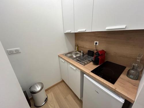 une petite cuisine avec un évier et un comptoir dans l'établissement Le Magnifique, Hyper centre, à Toulouse