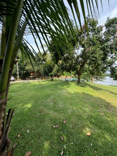 a park with a palm tree and a grass field at Theeram Riverside Holiday Home in Māla